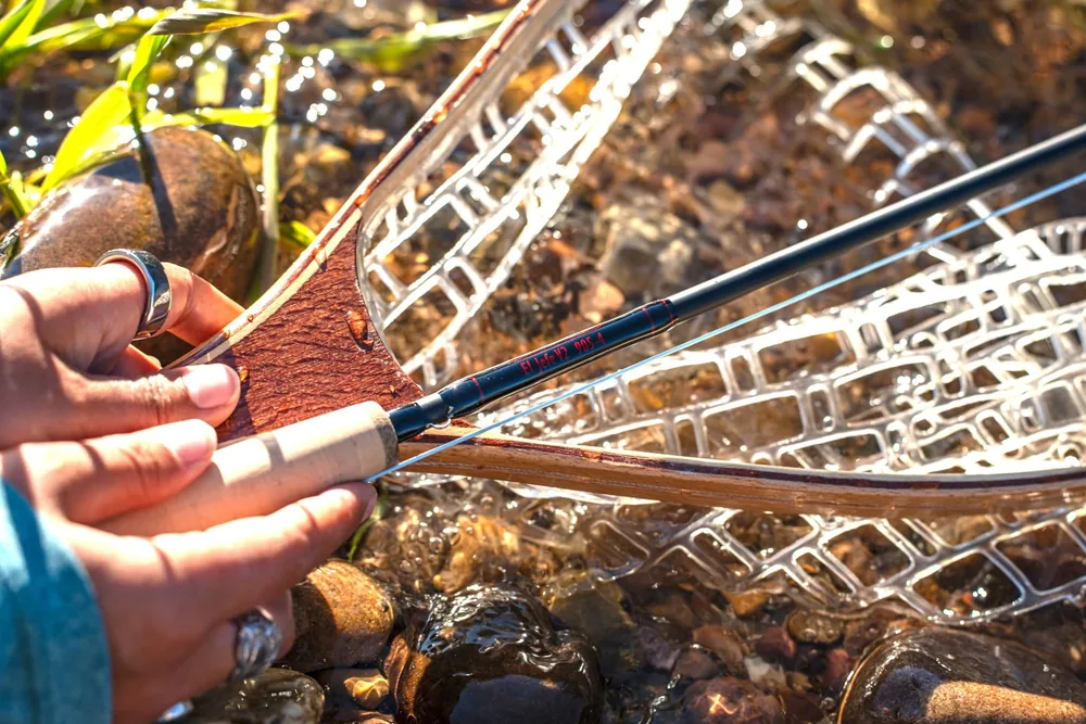 An angler's hand on the cork grip of the El Jefe v2 at the water's edge, the matte black blank and pale blue line angled across a wood framed clear rubber landing net resting on wet river cobbles.
